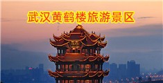 欠日的骚逼视频
