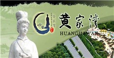 插逼视频了
